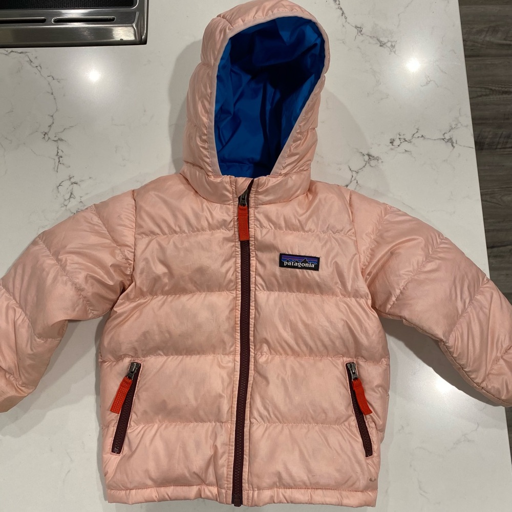12-18 Month Toddler Girls Hi Loft Down Patagonia Hooded Jacket.